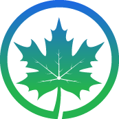 Tree Straightening Service Pros