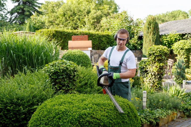 Bush Trimming Service in Rockwall, TX
