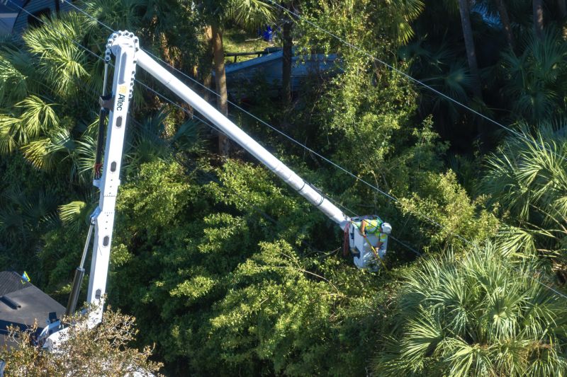Commercial Tree Trimming in Aiken, SC