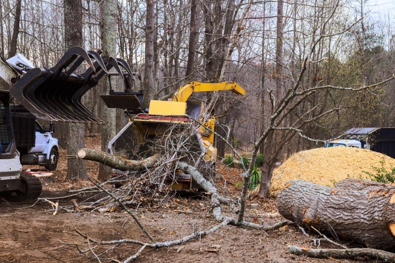 Dogwood Tree Removal in Bucks County, PA