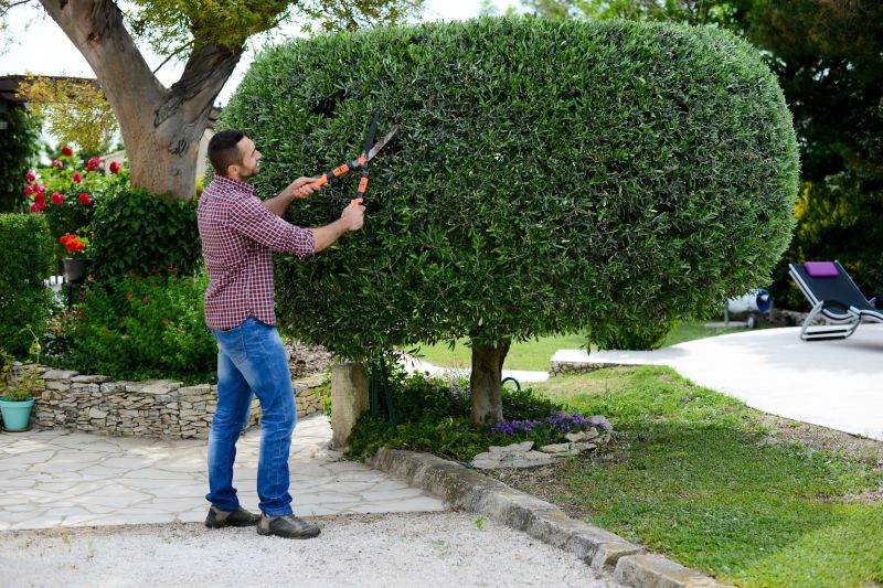 Topiary Shaping in Aiken, SC