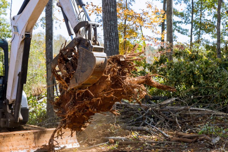 Tree Trunk Removal in Waldorf, MD